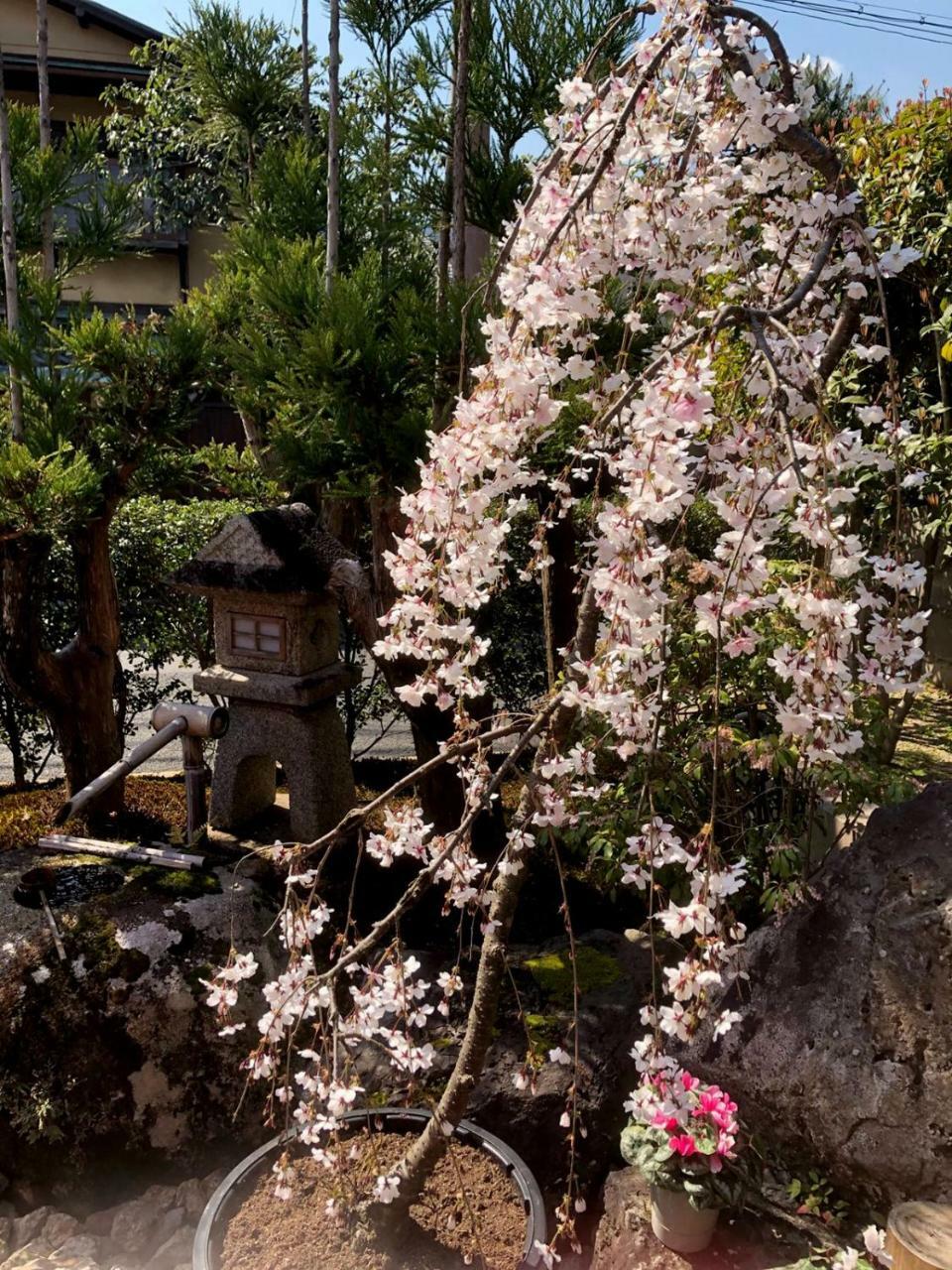 Hostel Kyoto Arashiyama Muko Exteriör bild