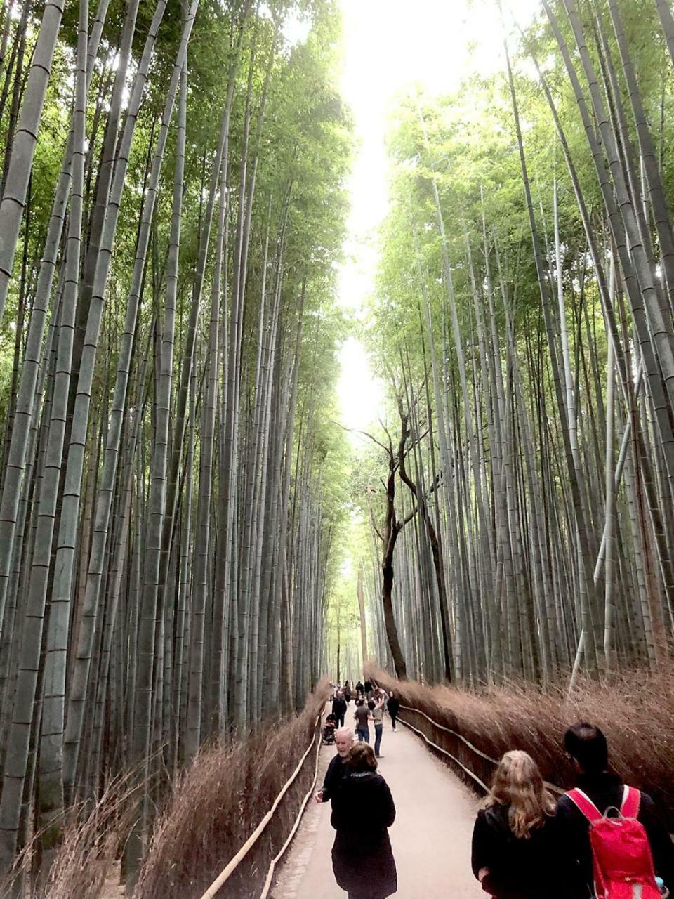 Hostel Kyoto Arashiyama Muko Exteriör bild